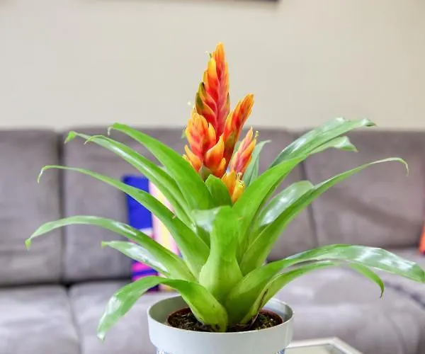 Charming 2br W/access To Pool In By 360 Estates Marsaskala